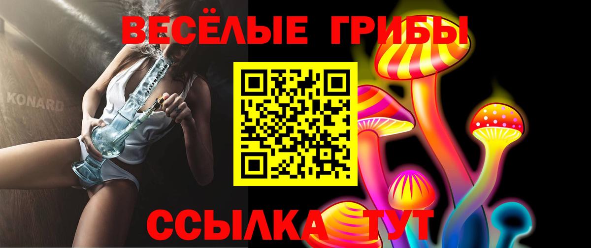 Псилоцибиновые грибы GOLDEN TEACHER Сосновоборск