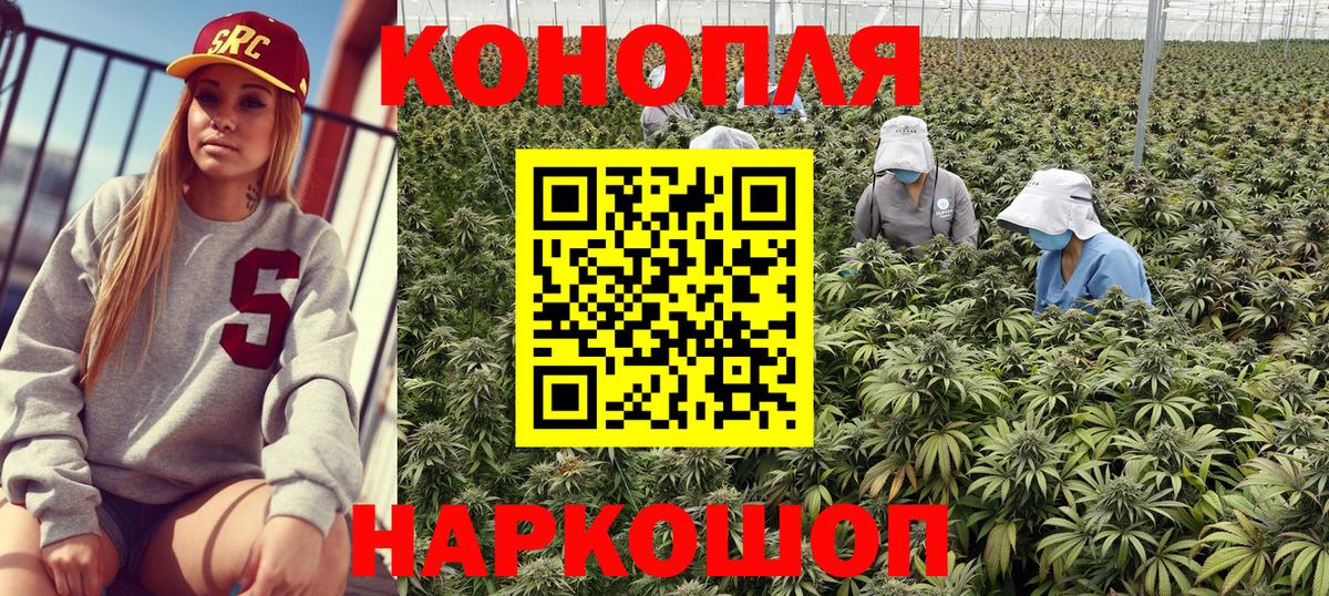 Бошки Шишки Amnesia Сосновоборск